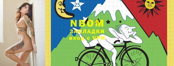 соль ск Алзамай