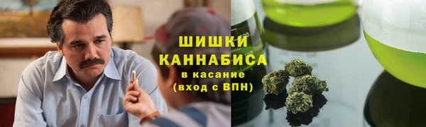соль ск Алзамай
