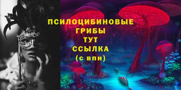 МДПВ Алексеевка